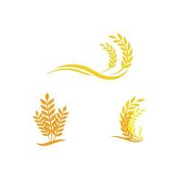 Luxury Golden Grain Weath  Rice Logo Design Vector