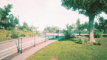 Asphalt road and green trees in park photo