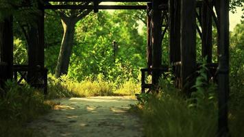 Walking trails in the park photo