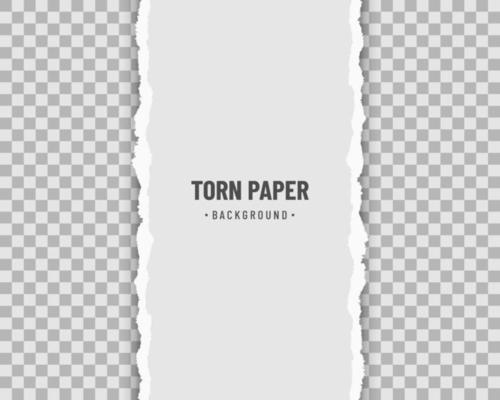 Vertical torn paper with soft shadow on transparent background