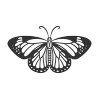 Beauty butterfly line art illustration black and white vector