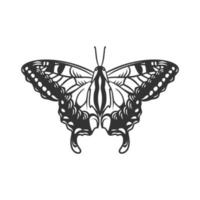 belleza mariposa línea arte ilustración blanco y negro vector