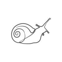 Snail continuous line art drawing vector