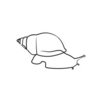 Snail continuous line art drawing vector