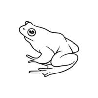 Frog line art drawing illustration vector