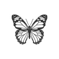 belleza mariposa línea arte ilustración blanco y negro vector