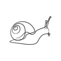 Snail continuous line art drawing vector