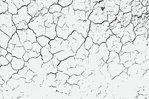 textura de grietas de tierra árida y salpicaduras de manchas, fondo de textura en blanco y negro vector eps