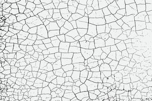 Texture of arid ground cracks and splashes of stains, black and white texture background EPS vector