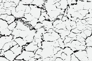 Texture of arid ground cracks and splashes of stains, black and white texture background EPS vector