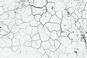 textura de grietas de tierra árida y salpicaduras de manchas, fondo de textura en blanco y negro vector eps