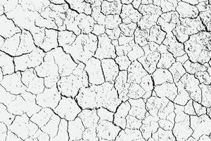 textura de grietas de tierra árida y salpicaduras de manchas, fondo de textura en blanco y negro vector eps