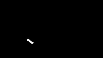 freccia scarabocchio animazione con fluido effetto su nero sfondo video