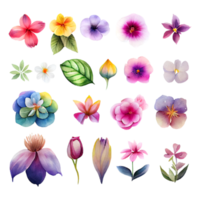 Set of beautiful flowers watercolor painting , PNG file