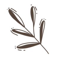 Minimal leaves doodle for decoration png