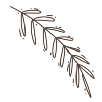 Minimal leaves doodle for decoration png