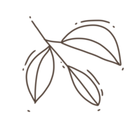 Minimal leaves doodle for decoration png