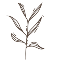 Minimal leaves doodle for decoration png