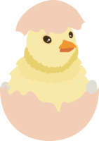 lindo pollito de pascua png