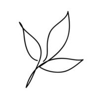 Leaf drawn in single continuous line art style. Hand drawn contour vector illustration of tea leaf.