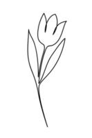 Tulip drawing in single continuous line art style. Hand drawn contour vector illustration of spring flower.