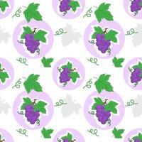 Seamless pattern of grapes on white background vector