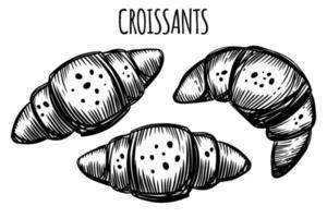 Fresh hand drawn sweet croissants for bakery or pastry shop. vector