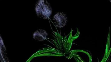 Dandelion Seeds Botanical 3D Rendering photo