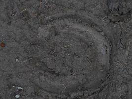 horse footprint in the mud photo
