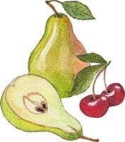 ripe pear and cherry vector