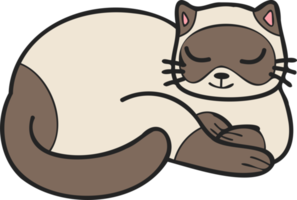 Hand Drawn sleeping cat illustration in doodle style png