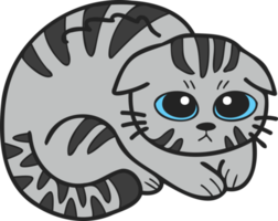 illustration de chat rayé effrayé ou triste dessiné à la main dans un style doodle png