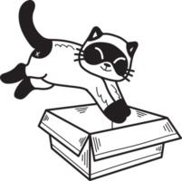 Hand Drawn kitten jumped into the box illustration in doodle style png