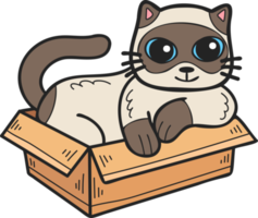 Hand Drawn cat in box illustration in doodle style png