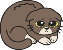 illustration de chat effrayé ou triste dessiné à la main dans un style doodle png