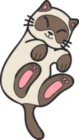 Hand Drawn Sleeping cat showing belly illustration in doodle style png