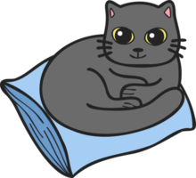 gato desenhado à mão dormindo na ilustração do travesseiro no estilo doodle png