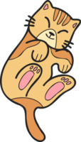 Hand Drawn Sleeping striped cat showing belly illustration in doodle style png