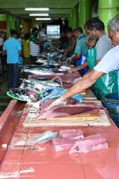 MALE, MALDIVES - MARCH, 4 2017 - People buying at fish market photo