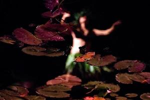 Cook Islands polynesian dancer reflection photo