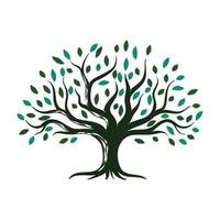 Abstract vibrant tree logo design, root vector - Tree of life logo design inspiration isolated on white background.