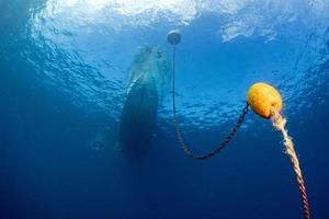 boat ship from underwater blue ocean chain photo