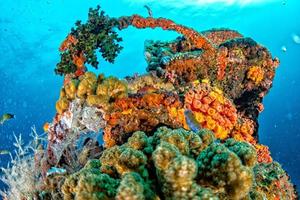 Ship Wreck in maldives indian ocean photo