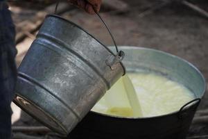 Hand made fresh cheese photo