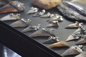 shark teeth pendant in jewelry store photo