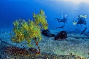 Ship Wreck in bali indonesia indian ocean photo