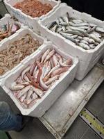 fresh caught seafood in a box at fish market photo