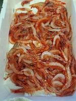 fresh red mediterranean shrimps in a box at fish market photo