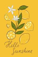 Postcard or poster with lemons, flowers and leaves. Vector graphics.