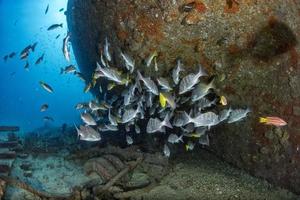 Ship Wreck in bali indonesia indian ocean photo